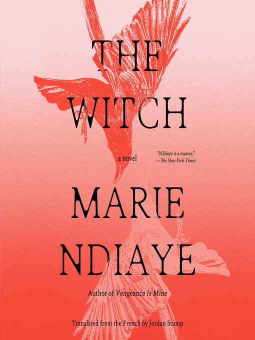 Cover image for The Witch